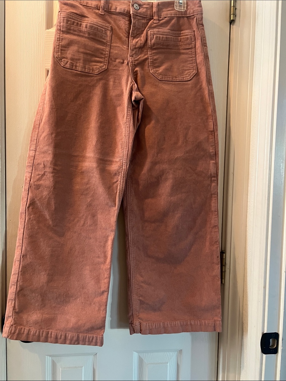 American Eagle Outfitters Wide Leg Pants in Rust